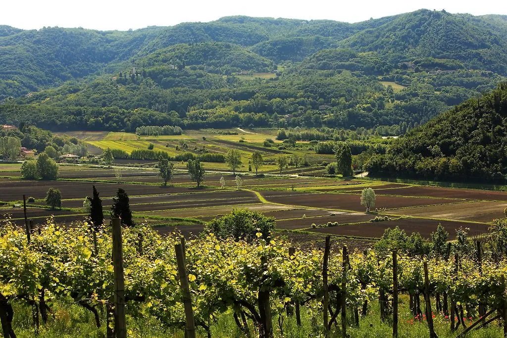 Fattoria Le Vegre Villa Arcugnano إيطاليا